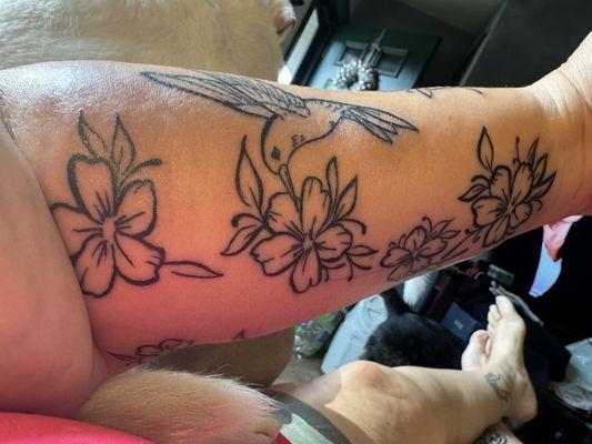 Zoe's Vicious Circle