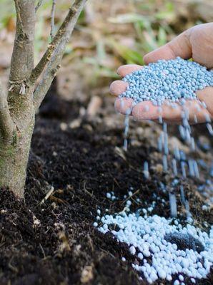 Angel Miguel's landscaping maintenance service