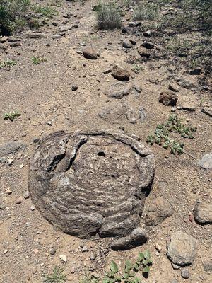 John Slaughter Ranch