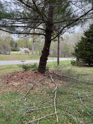 Reddick Tree Service