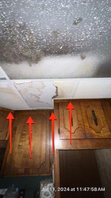 Otter Flood and Fire Restoration