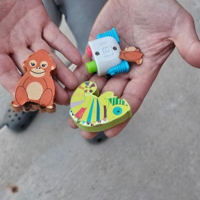 The toys removed from the toilet!