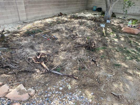 L&Y Landscaping Services