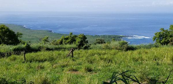 Island of Maui Visitor Information