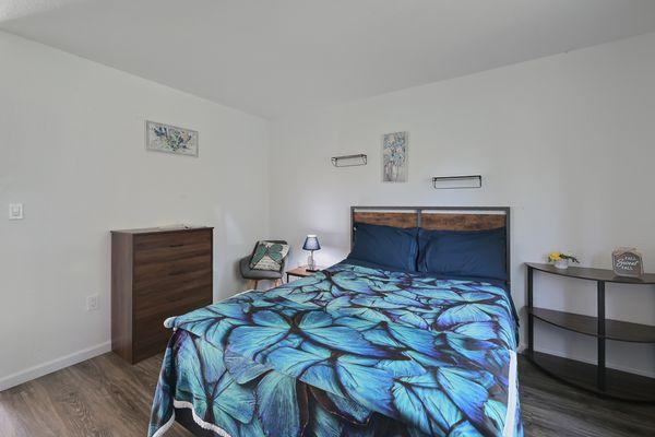 Room 4 the Butterfly room.