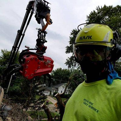 Plus One Tree Service