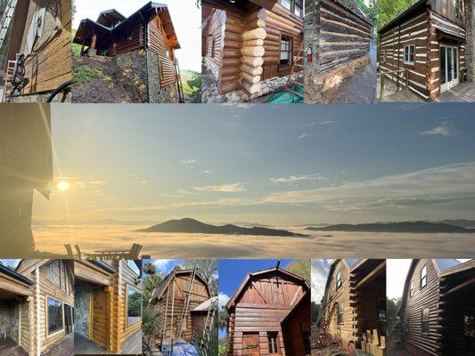 Wildwood Cabin Care