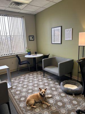 Restoring Awe Counseling