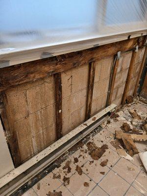 New Jersey Mold Specialist