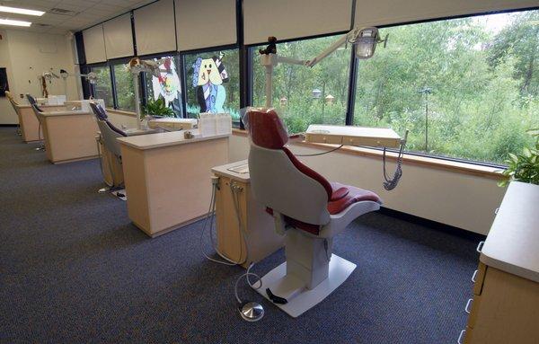 The view in our clinic can be very relaxing