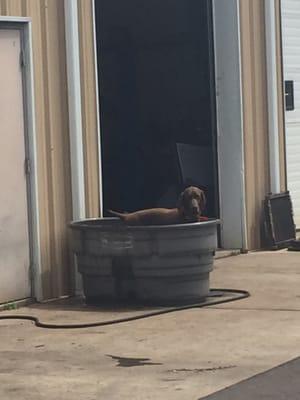 Pleasant View Garage