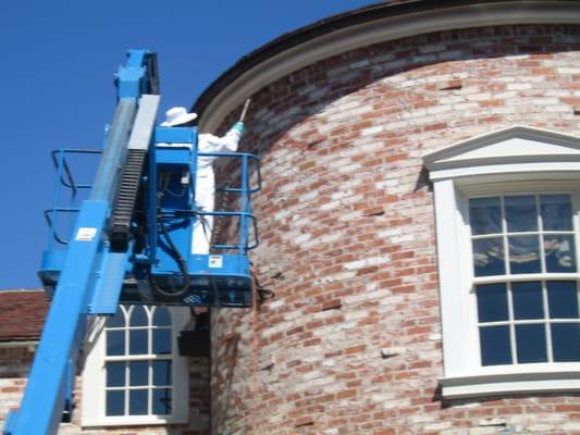 Fat Cat Exterminators