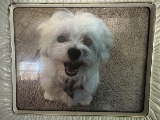 RIH Gussie Lee 3/12-12/10/25