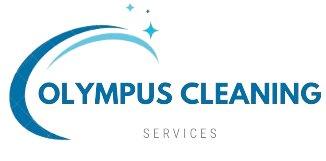 Olympus Cleaning