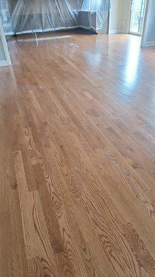 Hardwood replacement