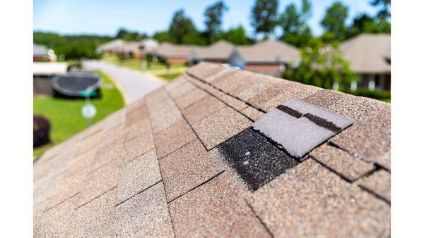 Roof and Gutter Experts