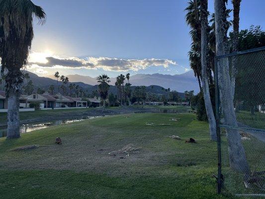 Cathedral Canyon Golf Club