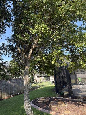 Peffer’s Stump Removal & Landscaping