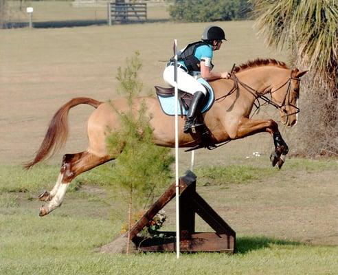 Sarah Stinneford Equestrian