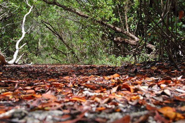 Florida Keys Wildlife and Environmental Area
