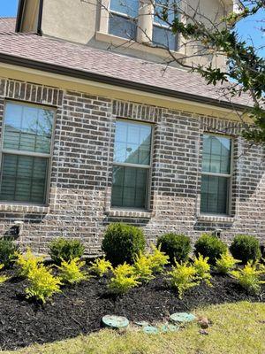 Godoy’s Wolves Tree Service & Landscape