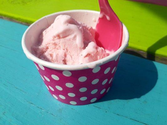 Peace Love and Ice Cream Norvelt