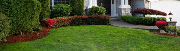 Morales Lawn Care & Landscaping