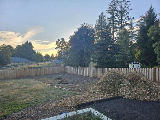 After - Firewood neatly stacked, wood chips where we requested, and so much fruit already cleaned up for us! Ignore the cardboard, that's us