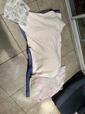 Animal Medical Clinic