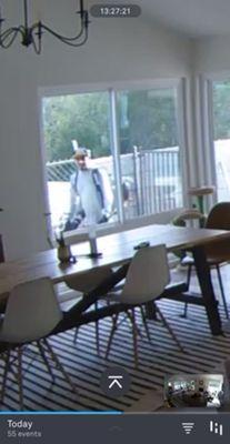 Modern Property Management