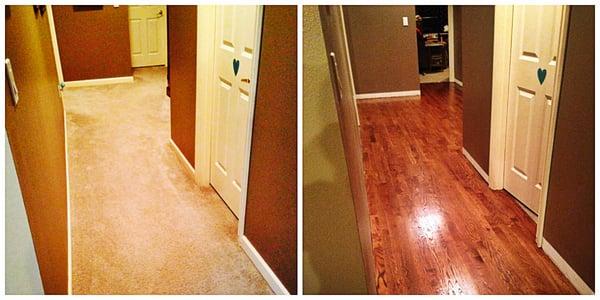 Woolman Coatings
