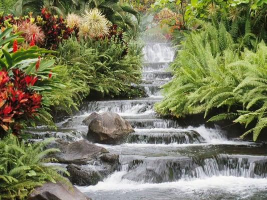 Your waterfall to the rest of your life!