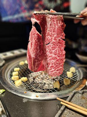 Chubby Cattle - Rosemead