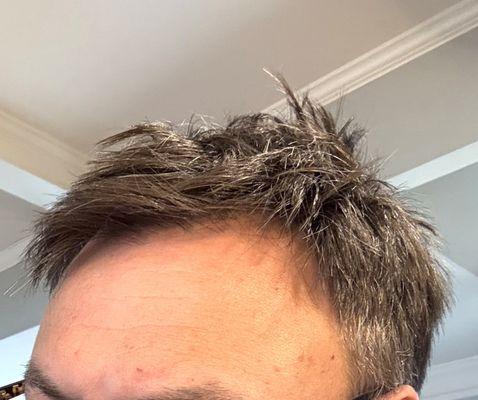 The Brass Beard Barbershop