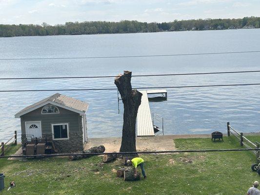 Jamie's cut Rite Tree Service