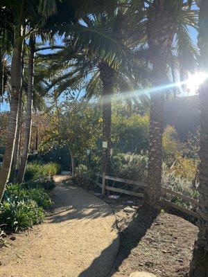 Hello there Sunshine....