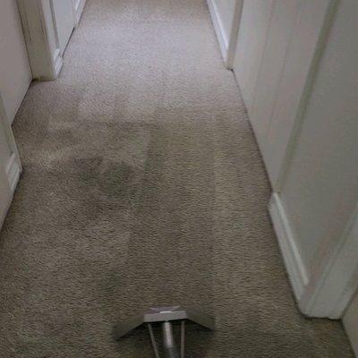 Escol Carpet and Upholstery cleaning