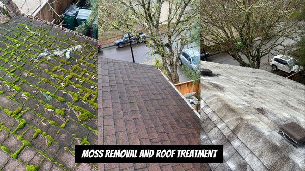 Pressure Washing Knight