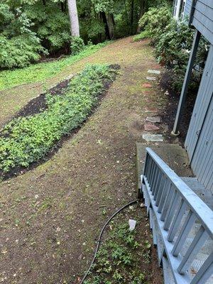 Failed Backyard after The Pros replaced topsoil and seeded
