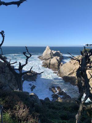 Bobbi Ebsen Psychotherapy