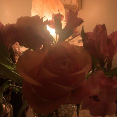 Marie Evangelisti Massage Therapy