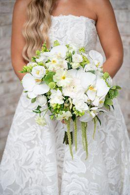 Ross Plants & Flowers