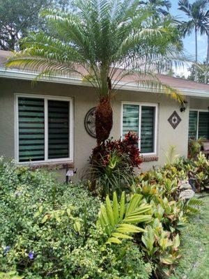 Just Right Tree Service