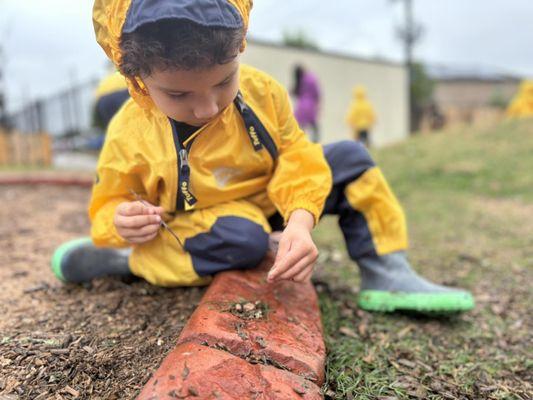 Magnolia Preparatory Academy