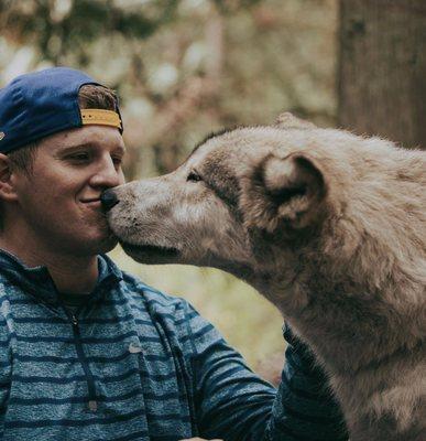 Predators of The Heart