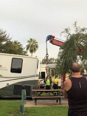 Stepp's Towing Service