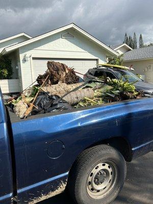 Padamadas landscaping