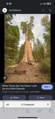 Bio organic matter growth. Well watered