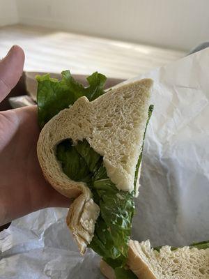 Great Harvest Bread Co.