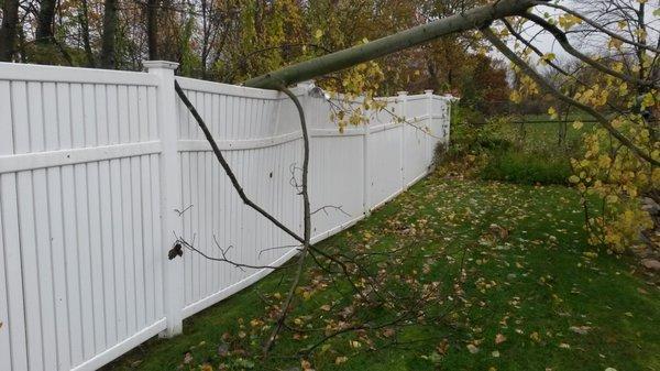 Blue Ribbon Fence & Landscape
